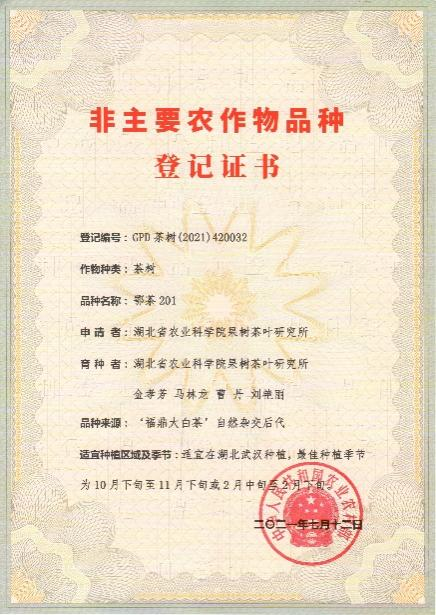 http://www.xgmegx.cn/uploads/20241127/0a70de68b37749a79ae9d7e30ad96eda.png