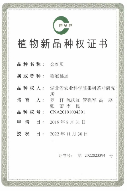http://www.xgmegx.cn/uploads/20241127/2c016dfe8dfc8dd95cb5472037cd4374.png