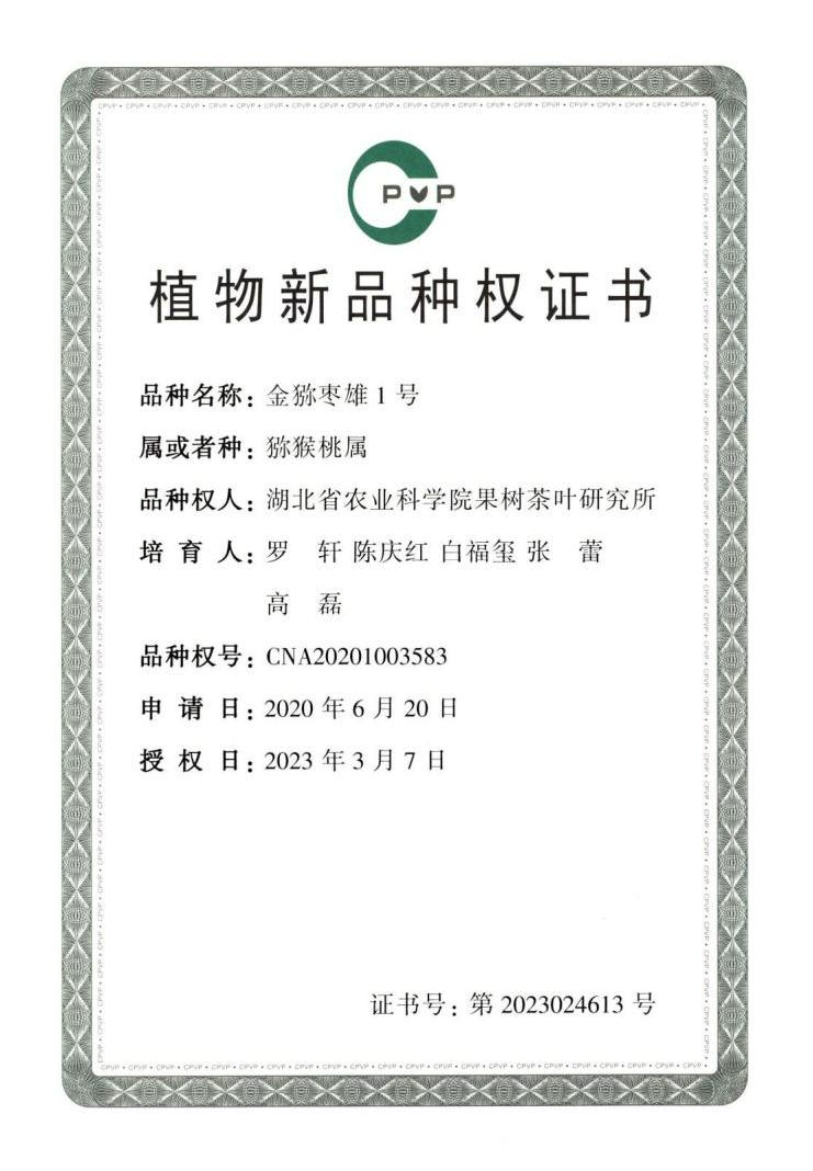 http://www.xgmegx.cn/uploads/20241127/946d67d38796396cd251014ac2a4f56e.png