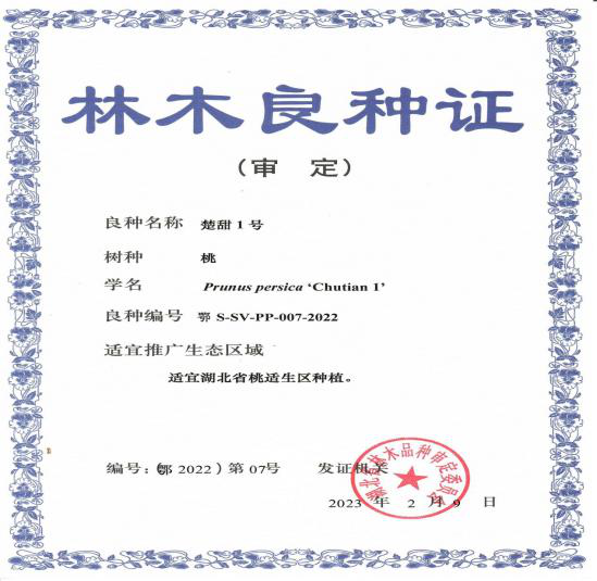 http://www.xgmegx.cn/uploads/20241127/956aeb966f67e4f17cd09aa750b2338b.png