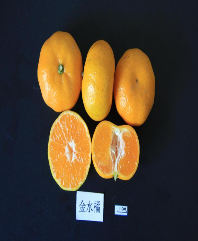 http://www.xgmegx.cn/uploads/20241127/d75f9e600249195c792120bffb0cbc37.png