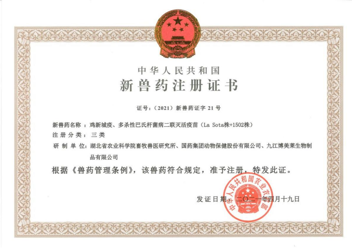http://www.xgmegx.cn/uploads/20241127/d987456604f944f7ad5cee9362608c22.png