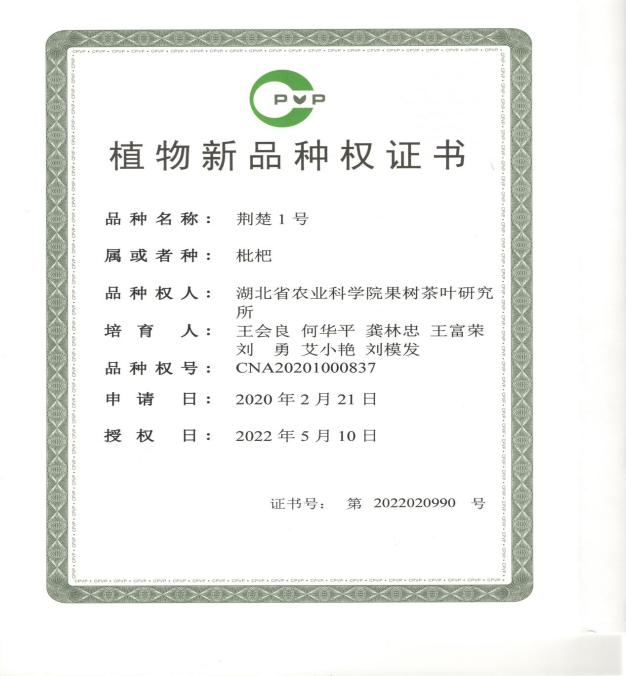 http://www.xgmegx.cn/uploads/20241127/f2230f0e9fa1a174c6138c80b7172ef4.png