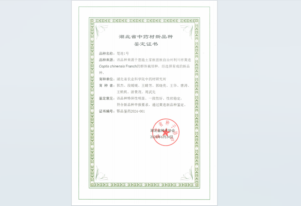 http://www.xgmegx.cn/uploads/20250513/facb6e7b4c1e8c3c4f6f0dd096cd6a80.png