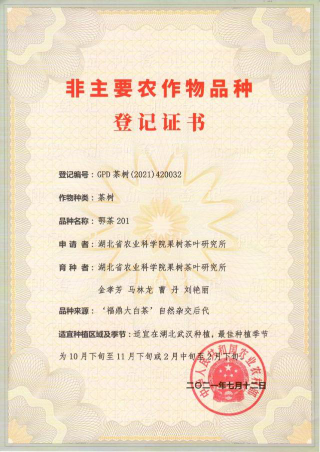 http://www.xgmegx.cn/uploads/20250514/1d2d7e1dd9ec9a47b0de98f26128c9c9.png