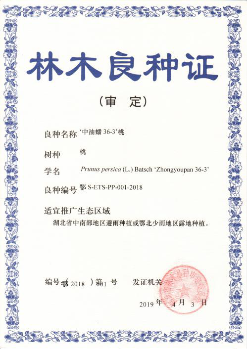 http://www.xgmegx.cn/uploads/20250514/65790a353e26a0d2a908f6dae547a903.png