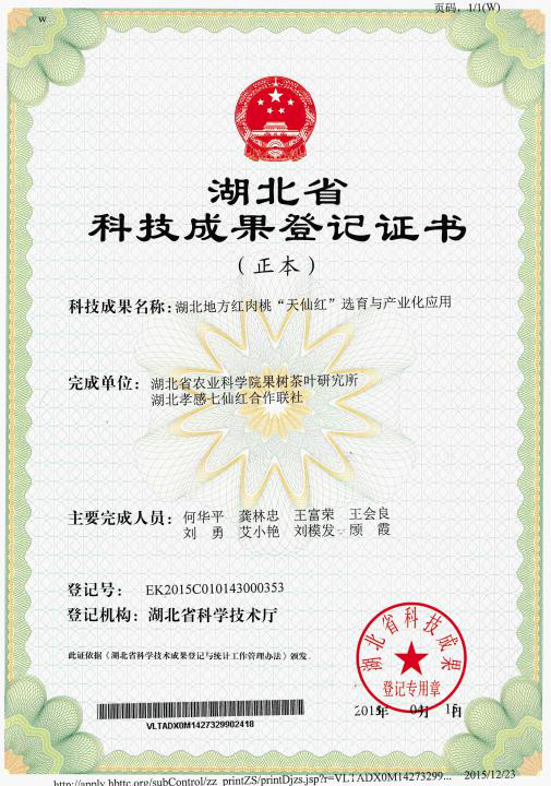 http://www.xgmegx.cn/uploads/20250514/70ab153b3f0f27472961c188b27b9ddc.png