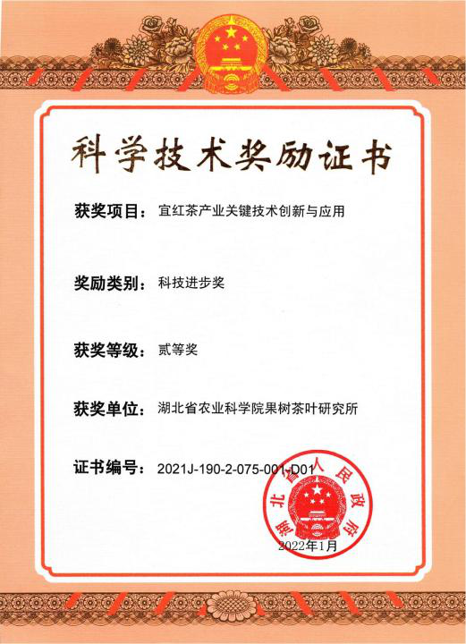 http://www.xgmegx.cn/uploads/20250514/8218c0d5e290da30a6203470438fd884.png