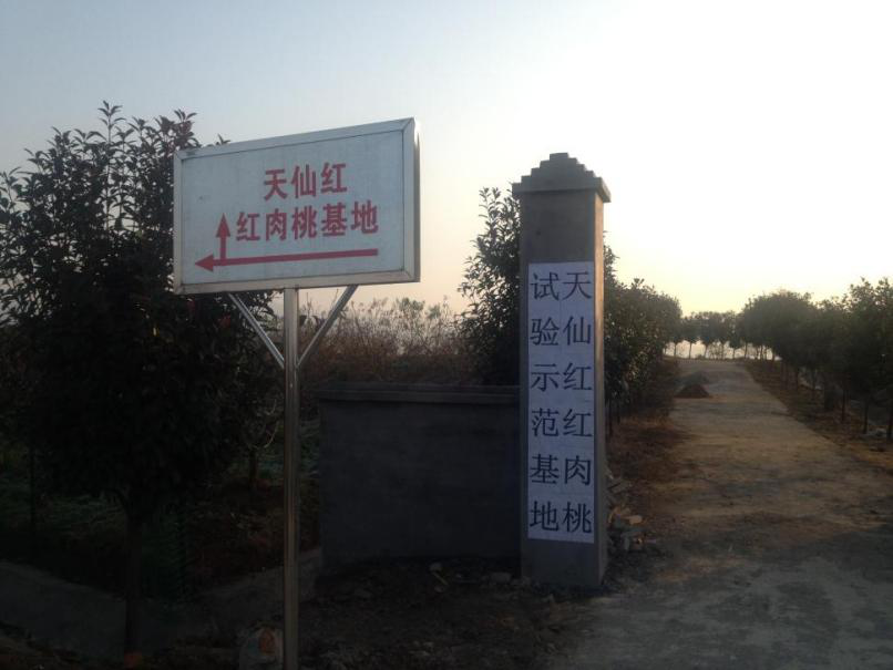 http://www.xgmegx.cn/uploads/20250514/b0939bf7c9900e340da801e7a9e84c21.png