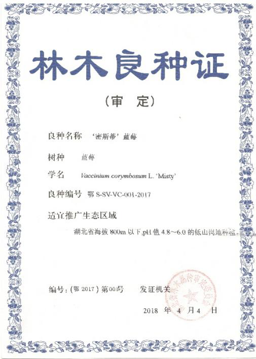 http://www.xgmegx.cn/uploads/20250514/d5c201a59d065bacc15b35ed724918bd.png