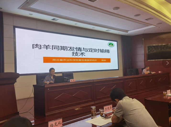 http://www.xgmegx.cn/uploads/20250514/dacb5199d0f86209e059a75a08dd21a1.png