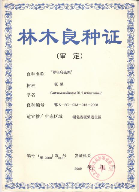 http://www.xgmegx.cn/uploads/20250514/dd9f182f93c9d65af2b78fb5b33979a3.png