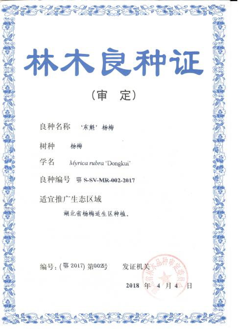 http://www.xgmegx.cn/uploads/20250514/eeef597e2358786528f1dd079460de47.png