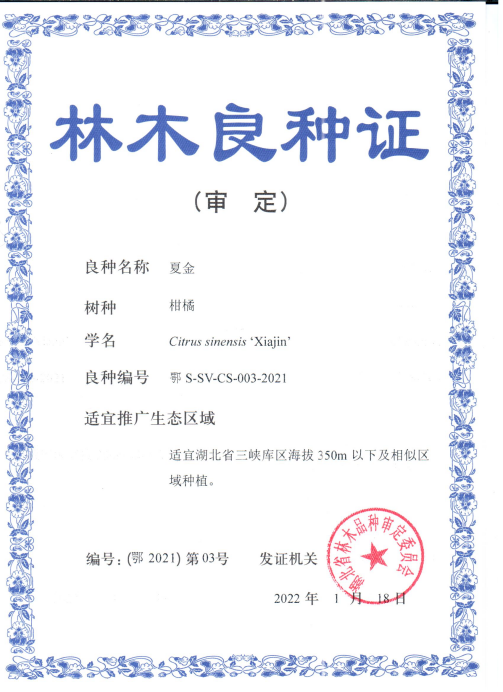 http://www.xgmegx.cn/uploads/20250514/fa5f0f8ca67d2d23634eb455a1e82c95.png