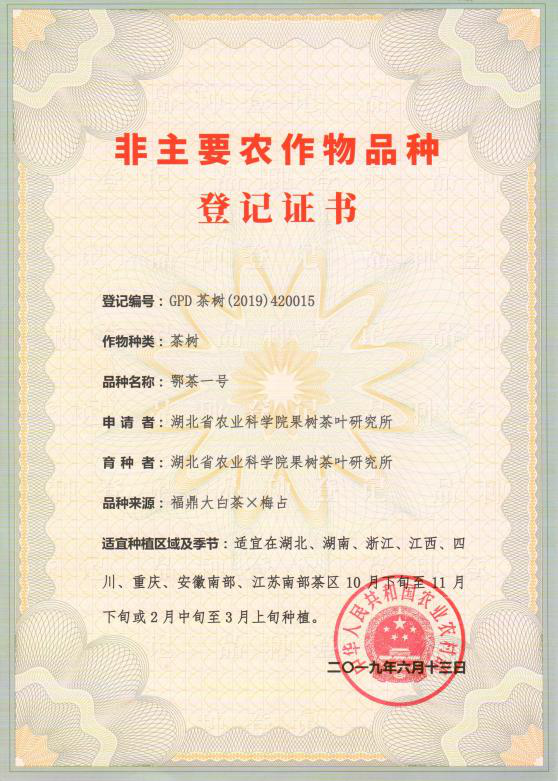 http://www.xgmegx.cn/uploads/20250514/fe6b9f49f09eef9b5b41bf86a215a3c0.png