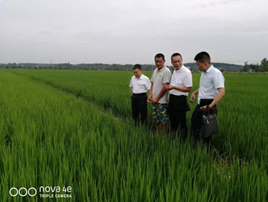 http://www.xgmegx.cn/uploads/20250515/06dea6ddc69253e0037dbfdbbc8f096e.png