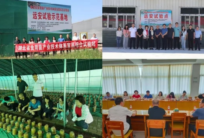 http://www.xgmegx.cn/uploads/20250515/38d5b319224ac0ddbbc990eab1f70c3f.png