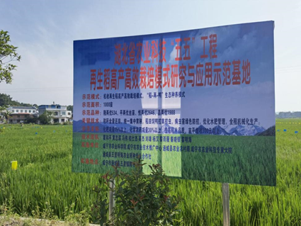 http://www.xgmegx.cn/uploads/20250515/7655e3bbd4f473548c0141412e16ccda.png