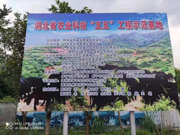 http://www.xgmegx.cn/uploads/20250515/bd1b10f823b0311ea2703b4f4efdf316.png