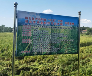 http://www.xgmegx.cn/uploads/20250515/c81058a6ff486a59652d7e483d47a700.png